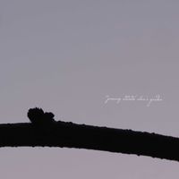 アケビ,花のある暮らし,緑のある暮らし,HTC,信楽狸倶楽部の画像