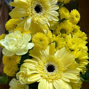 カーネーション,ガーベラ,ガーベラ,ガーベラ,キクの画像