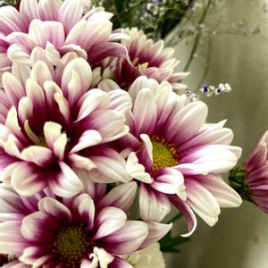 生け花,玄関の画像