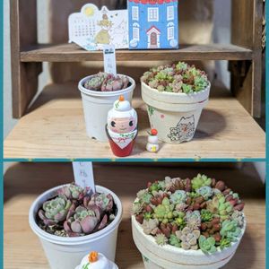 ちまちま寄せ,ちま寄せ,KOHさんのリメ鉢,カレンダーの日,ちょこんとﾋﾟｰﾀﾝの画像