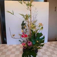 モンステラ,ロウバイ,グロリオサ,プロテア,五葉松の画像