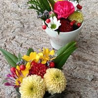 カーネーション,カーネーション,キク,スターチス,ナンテンの画像