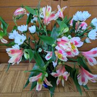 アルストロメリア,可愛いお花達,世界に平和を,いつもありがとう(^-^)の画像