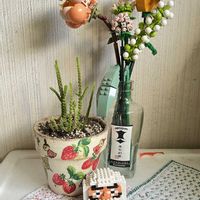 ムスコーサ,ムスコーサ,苺(今日は1/5の日♥️),ナノブロック,だるま祭りの画像