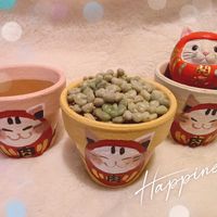 だるま秀麗,アルヴィス,ずっと一緒,だるま祭り,ヒグチユウコの画像