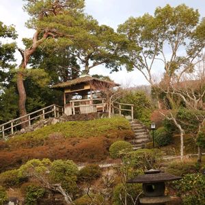 日本庭園,吉城園✨,静かな庭✨,ウォーキング✨,ノンビリ寛ぐ✨の画像