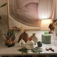 サフラン,観葉植物達,アスナロ,成長記録,植物のある暮らしの画像