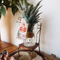 パイナップル,その他部屋の画像