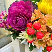 ヒペリカム,ヒペリカム,葉牡丹,葉牡丹,きく  菊の画像