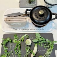 セリ,ナズナ,ホトケノザ,リプサリス,カブの画像