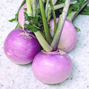 イチゴ,リンゴ,カブ,紅芯大根,紅芯大根の画像