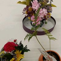 カーネーション,カーネーション,キク,キク,スターチスの画像