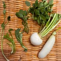 セリ,ナズナ,ホトケノザ,ハコベラ,ゴギョウの画像