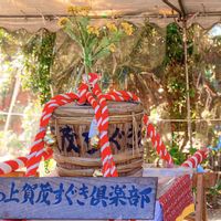 カブ,ハコベ,七草粥,蘩蔞,すぐきの画像