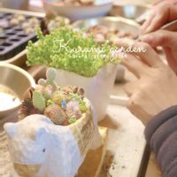 サボテン,サボテン,セダム,サボテン寄せ植え,アクレ アウレウムの画像