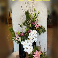 センリョウ,マツ,ユリ,胡蝶蘭,胡蝶蘭の画像