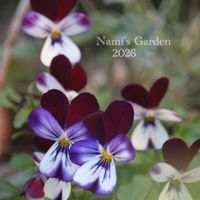 ビオラ,ユーカリポポラス,ユーカリリース,一眼レフ撮影,モルタル雑貨の画像