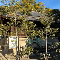 ナギ,お出かけ先の画像