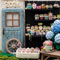 セダム,多肉植物,多肉寄せ植え,エケベリア属,多肉棚の画像