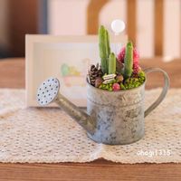 サボテン,ボタニカルライフ,癒し,サボテンの寄せ植え,Kurumi*gardenの画像