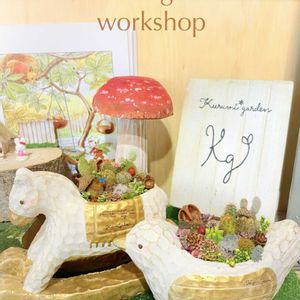 サボテン,サボテン,セダム,サボテン寄せ植え,サボテン寄せ植えの画像