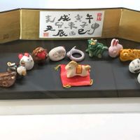 ハツユキカズラ,ハツユキカズラ,オステオスペルマム,オスぺオスペルマム,散歩の画像