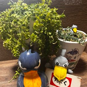 ピーチネックレス,ピーチネックレス,ぺぺロミア,アロマぺぺ　デピーナ,ぺぺロミアデビーナの画像