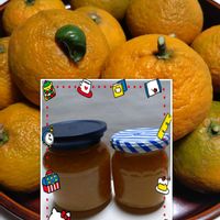 ミカン,地植え,蜜柑,蜜柑の栽培,蜜柑ジャムの画像