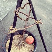 ユキヤナギの画像