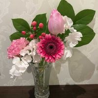 オブツーサ,ガーベラ,スイートピー,チューリップ,ミニバラ・グリーンアイスの画像