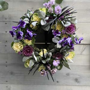 葉牡丹,コクリュウ,シロタエギク ニュールック,ビオラビーコン,アリッサム　パープルの画像