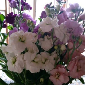 ストック,ストック,ストック,ストック,ストックの画像