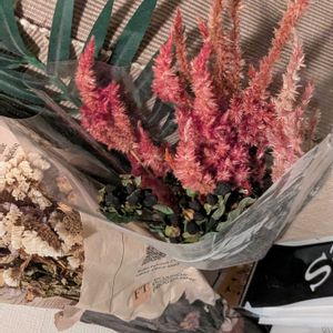 槍鶏頭(ヤリケイトウ),ドライフラワー,ヒペリカムの実の画像