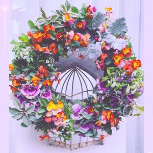 アリッサム,ストック,ビオラ,ミニ葉牡丹,班入りヤブコウジの画像