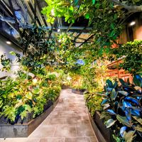 観葉植物,東京,花のある暮らし,緑のある暮らし,植栽の画像