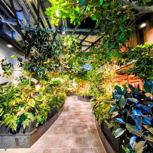 観葉植物,東京,花のある暮らし,緑のある暮らし,植栽の画像