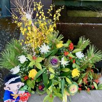 キク,センリョウ,マツ,ユリ,葉牡丹の画像