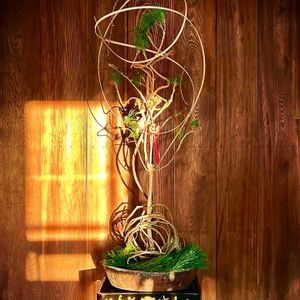 ハンドメイド,門松  ,寄植え,お花屋さん,熊本の画像