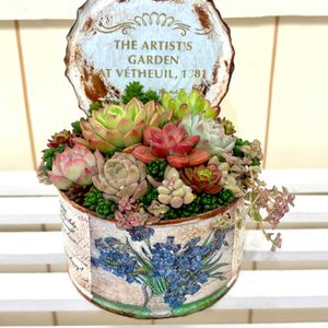 多肉植物 寄せ植え,多肉植物 寄せ植え,リメイク缶,花のある暮らし,楽しみの画像