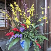 アルストロメリア,ウメ,オンシジウム,カンパニュラ,キンギョソウの画像