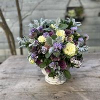 葉牡丹,ビオラ,寄せ植え,ギャザリング,今日の一枚の画像