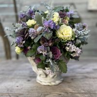 寄せ植え,ギャザリング,今日の一枚,花のある暮らし,全て根付きの植物の画像