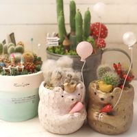 サボテン,サボテン寄せ植え,松霞,箱庭,エスポストアの画像