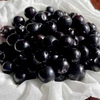 ヤブラン,ヤブランの実,草木染(ヤブラン)の画像