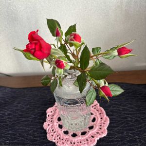 ヒヤシンス,ヒヤシンス,真っ赤なミニ薔薇,成長中,切り花を楽しむの画像