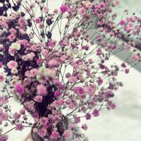 ドライフラワー,札幌,雪に負けない,良い週末を♪の画像