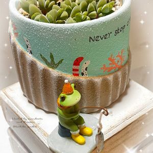 碧魚連,レーマニー,レーマニー,リメ鉢,カエルのコポーの画像