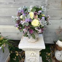 葉牡丹,ビオラ,寄せ植え,ギャザリング,今日の一枚の画像