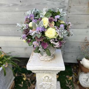 葉牡丹,ビオラ,寄せ植え,ギャザリング,今日の一枚の画像