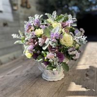 シロタエギク,葉牡丹セッションシリーズ　ティファニーホワイト,プチトリアノン・ローランサングレー,寄せ植え,ギャザリングの画像